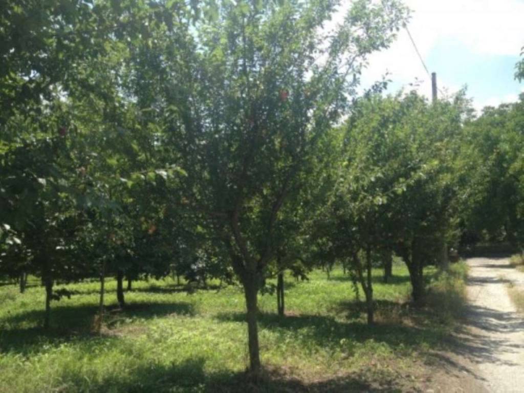 Terreno agricolo via malatesta, somma vesuviana