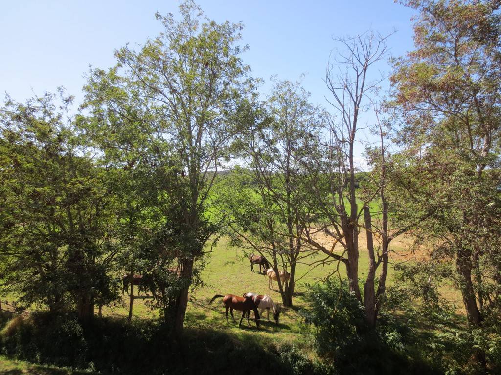 vista dal soggiorno