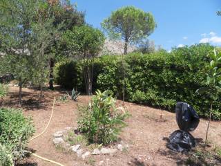 giardino dx