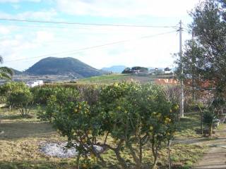 giardino e vista