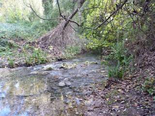 torrente Cardinale