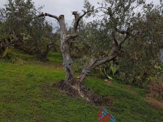 WhatsApp Image 2018-01-04 at 14.02.04 (1)