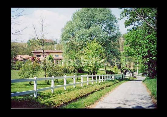 fotografia per identifica