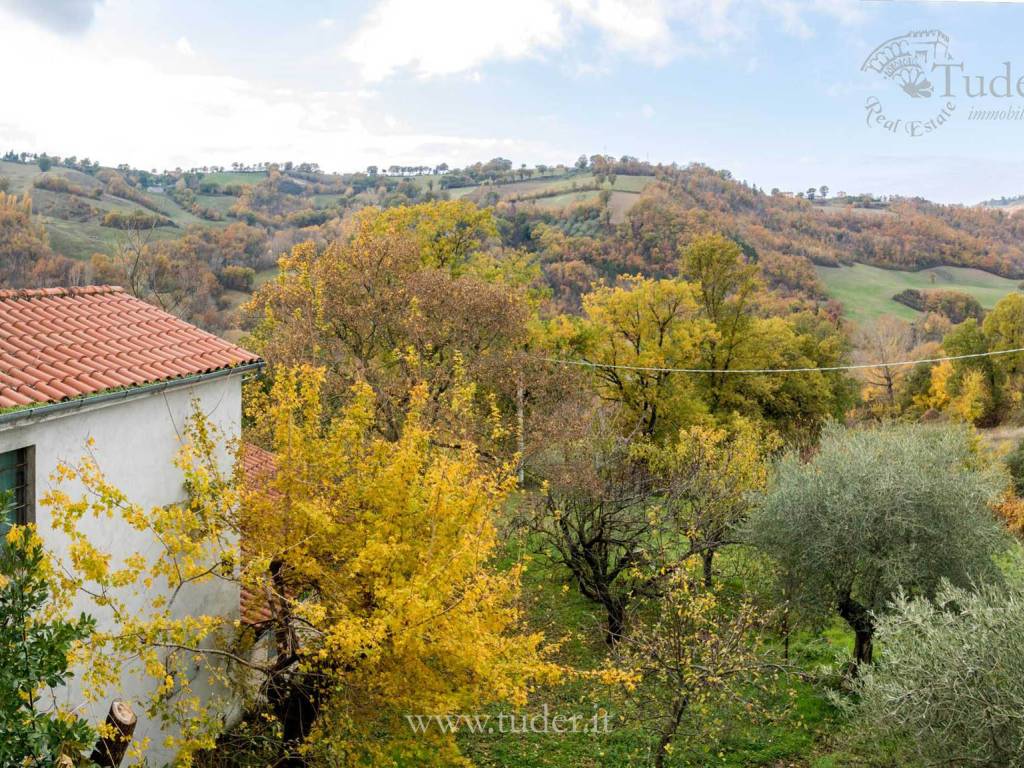 PAESAGGIO INCONTAMINATO