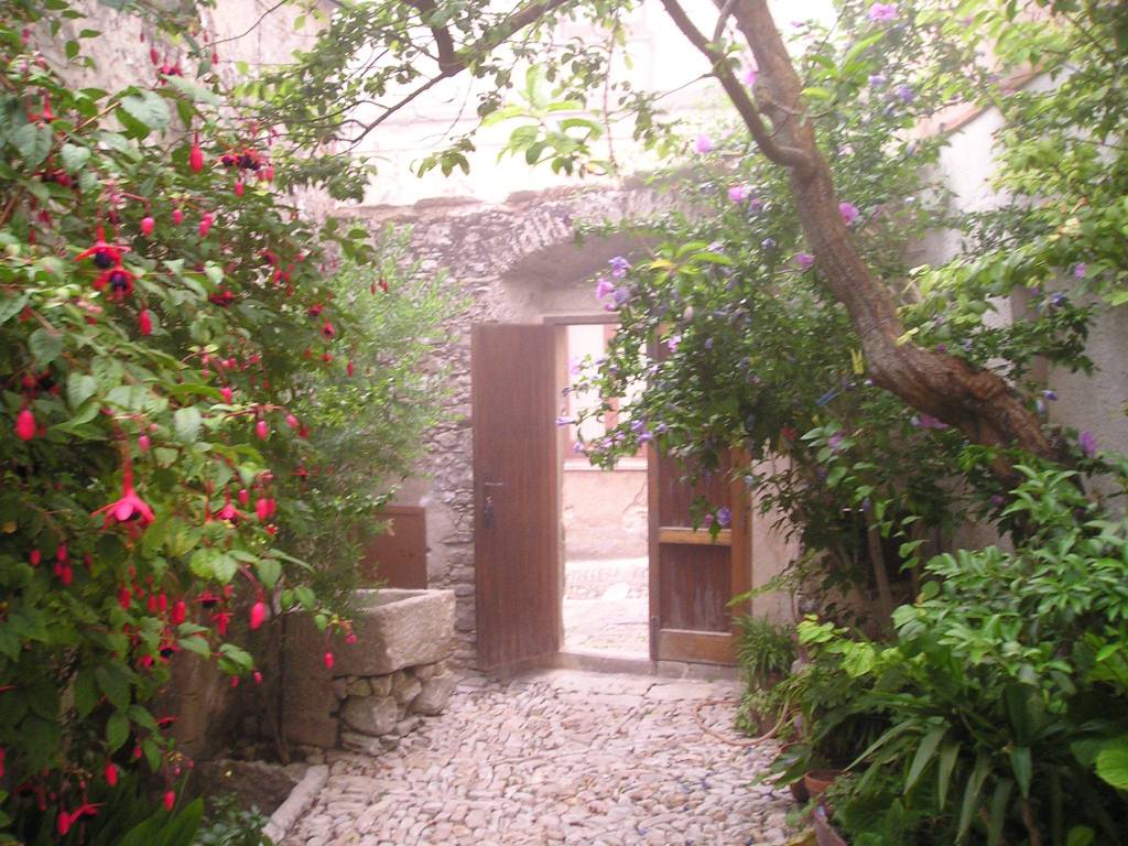 CORTILE