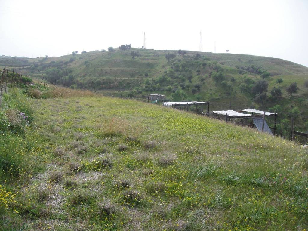 Terreno agricolo contrada d'ambaldo bocale ii, pellaro, reggio calabria