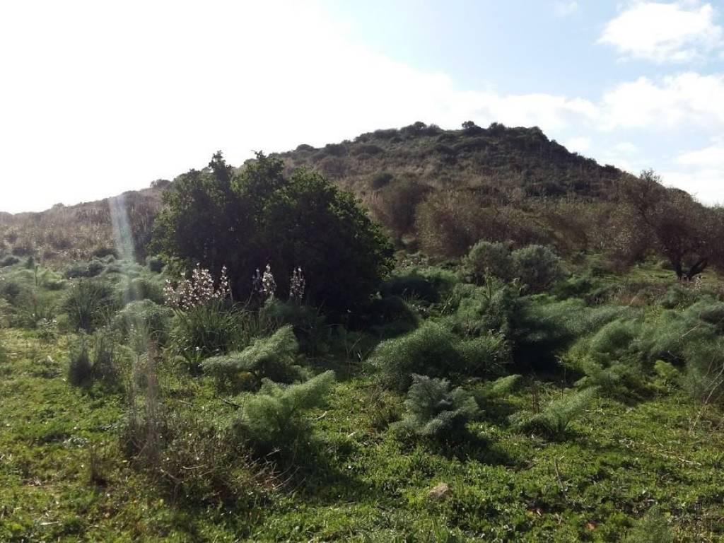 Terreno agricolo via circonvallazione 37, furtei