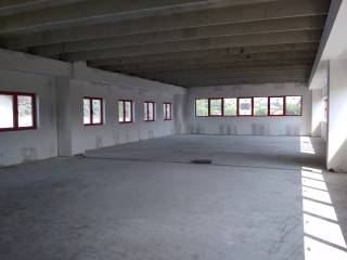 Commerciale Piano Primo