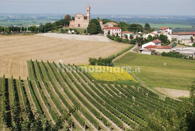 Vista Vigneti