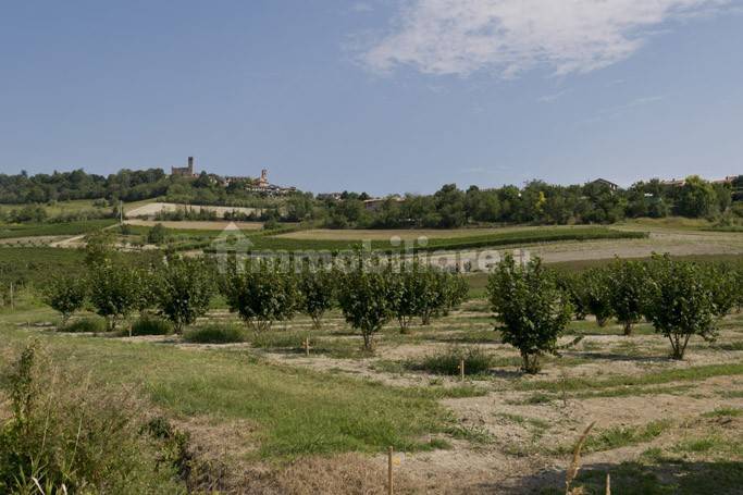 Noccioleto