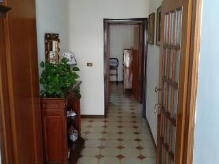 Ingresso