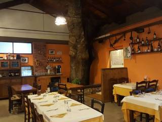 ALBERGO RISTORANTE MONTECUCCO (4)