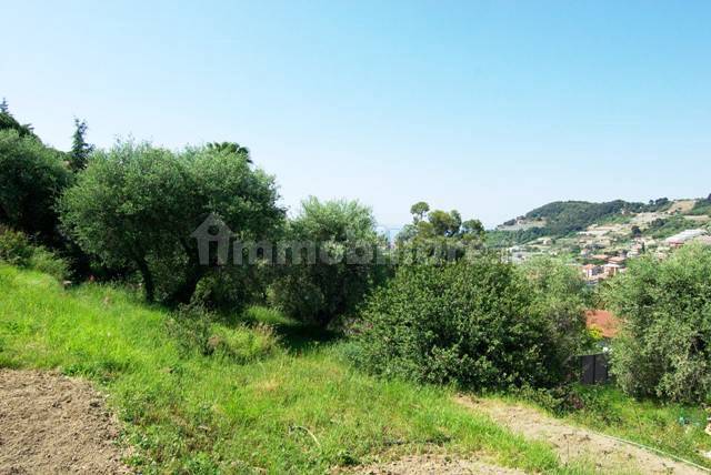 bordighera-rustico