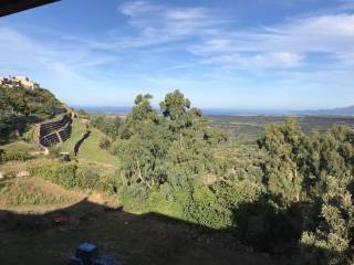 Vista