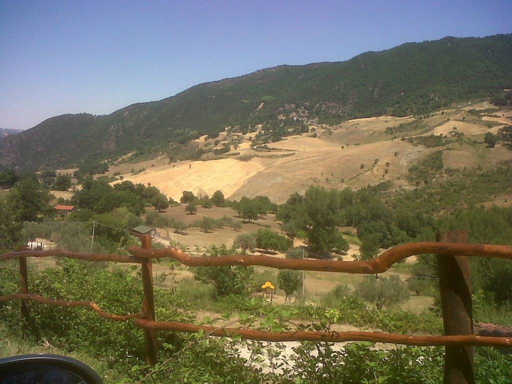 Terreno agricolo castagna, pietrapertosa