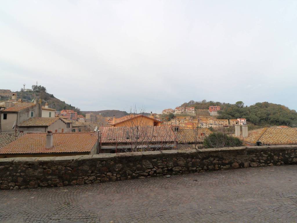 panorama