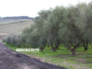 casa matera