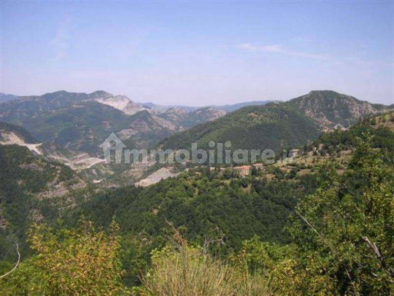 Badia di moscheta Clearance