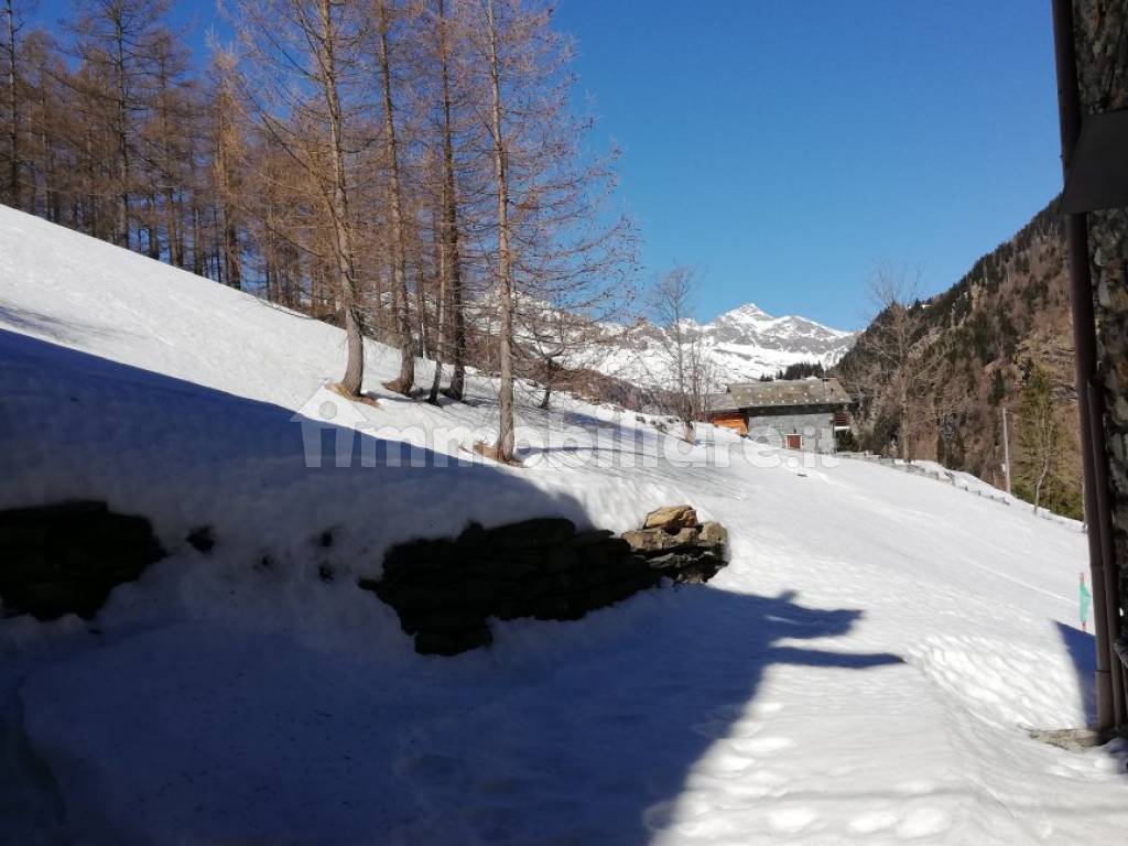 Panorama -Pizzo Tambò