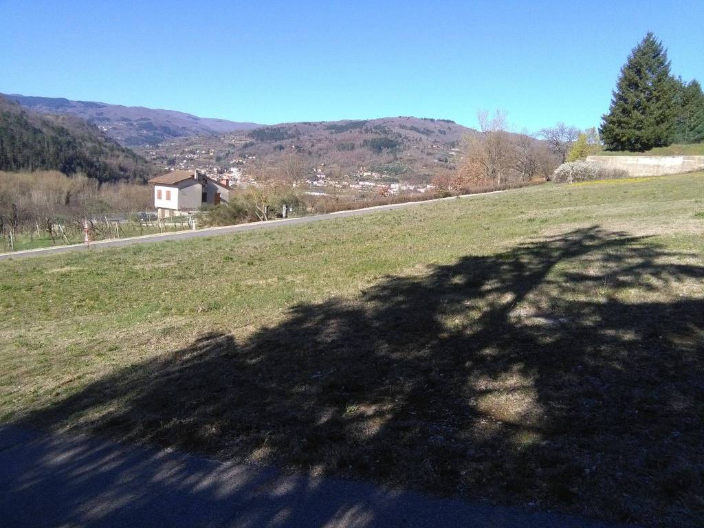 Terreno edificabile via nazionale 51, borgo alla collina, castel san niccolò