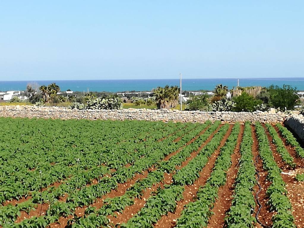 Panoramico Polignano