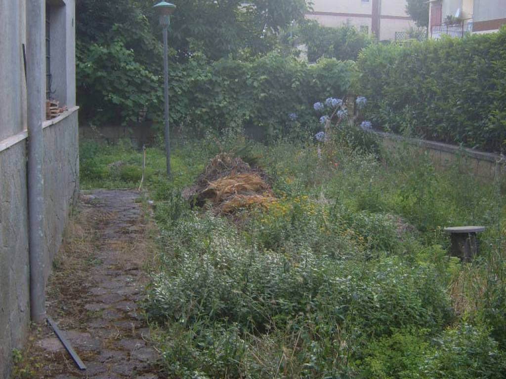 parte giardino