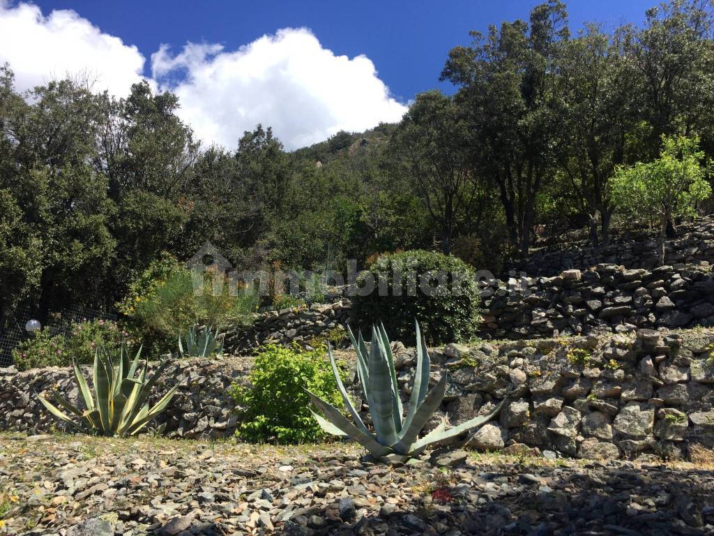 giardino - terrazzamenti