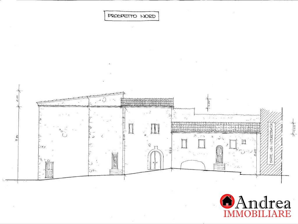 rappresentazione grafica