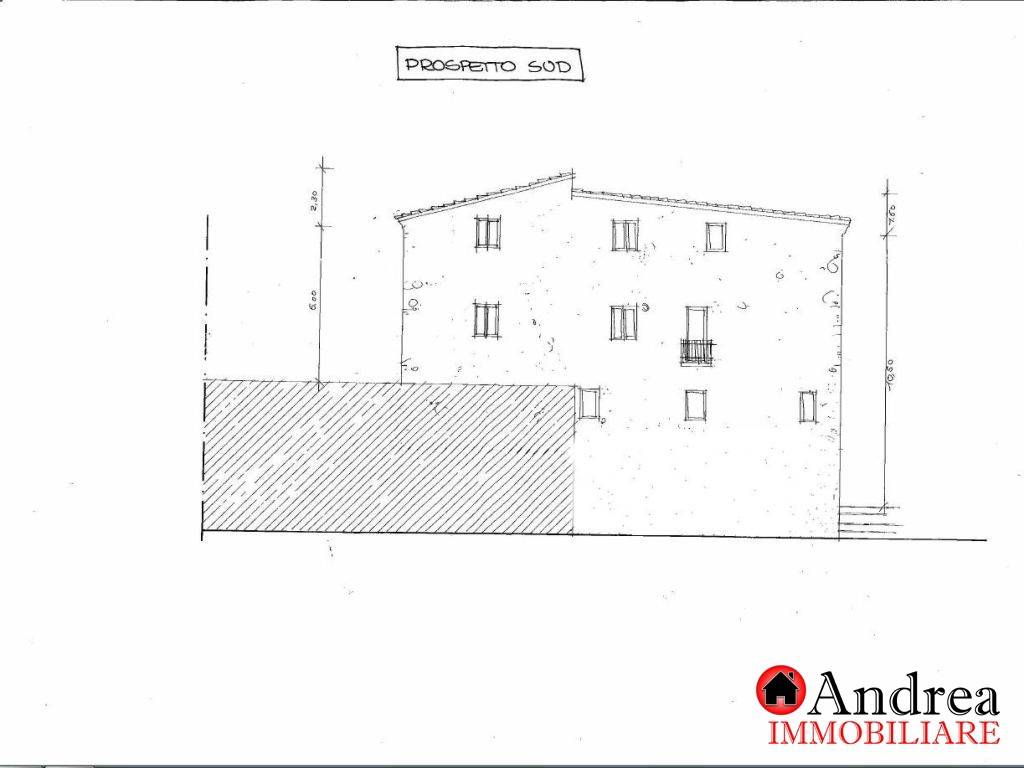 rappresentazione grafica