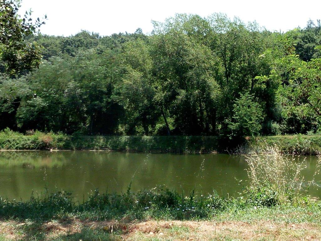 Terreno agricolo strada comunale pietratonda, campagnatico