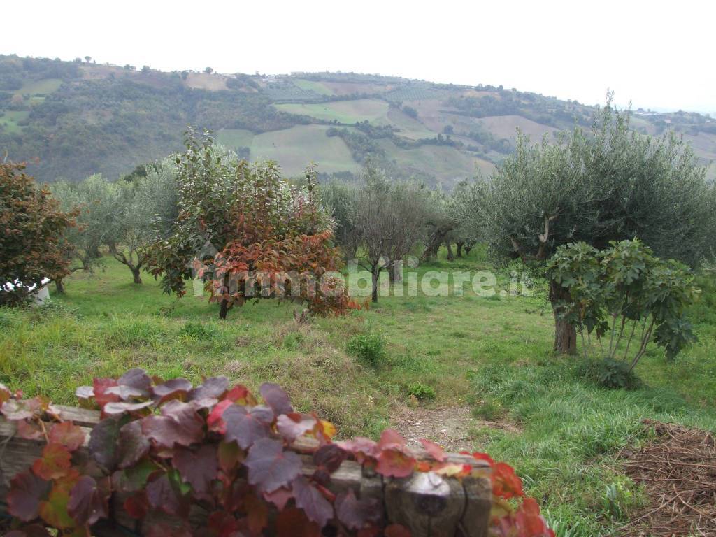 terreno