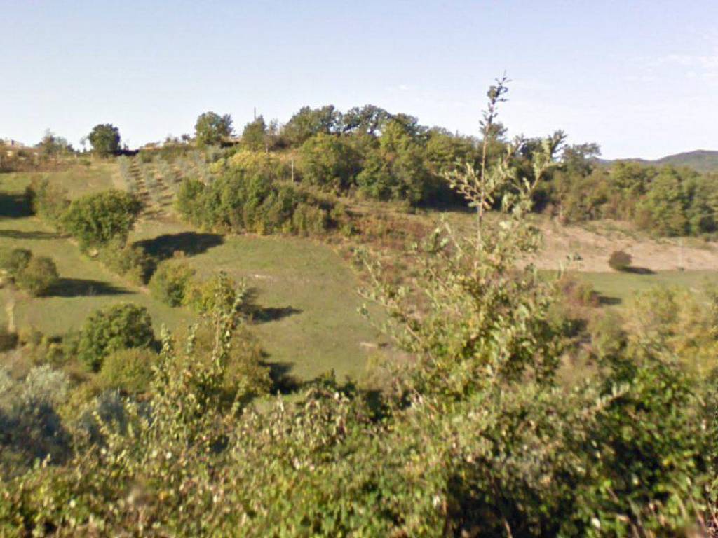 Terreno agricolo località castello, rocca sinibalda