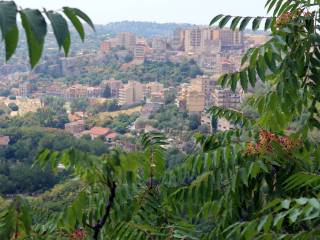 Vista Via Roma