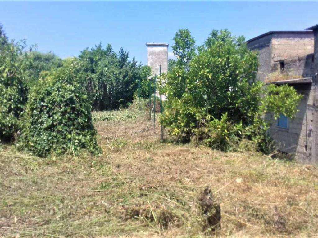 Terreno agricolo s maria del pozzo, somma vesuviana