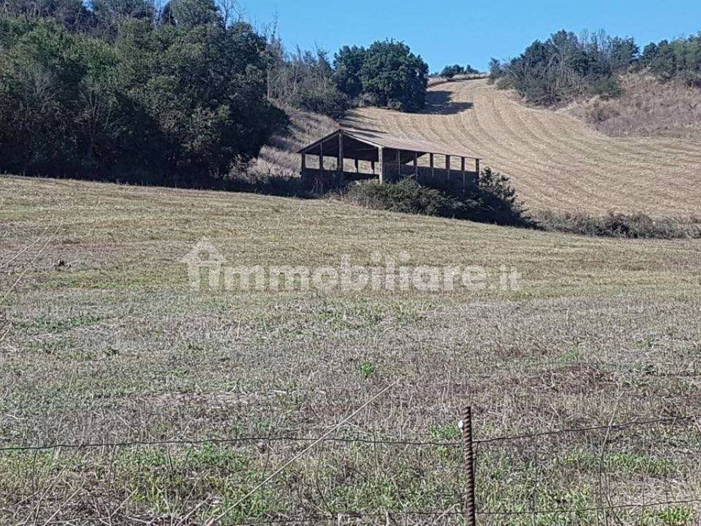 Terreno agricolo via Onorato Occioni, Fiumicino, rif. 75693822