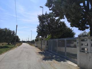 Ingresso