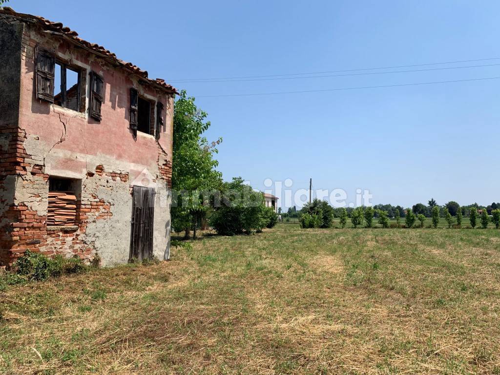 Rustico - Casale in vendita a Grisignano di Zocco