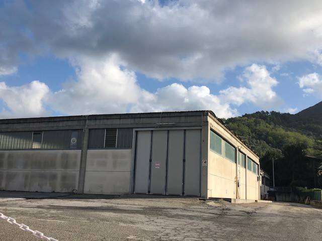 Capannone, bozzano, quiesa, massarosa