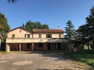 img 0274