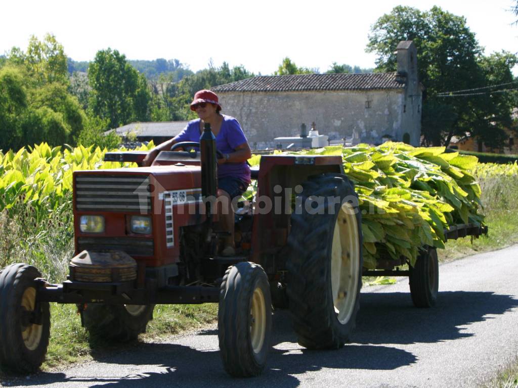 La raccolta