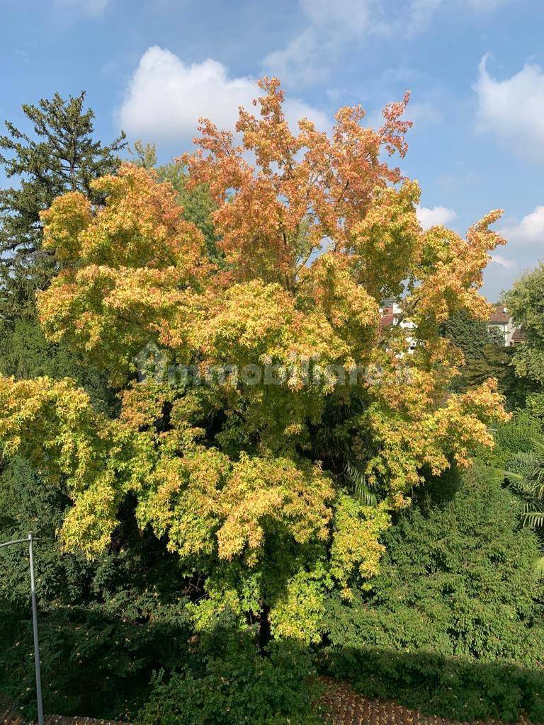 Appartamento in affitto a Vicenza