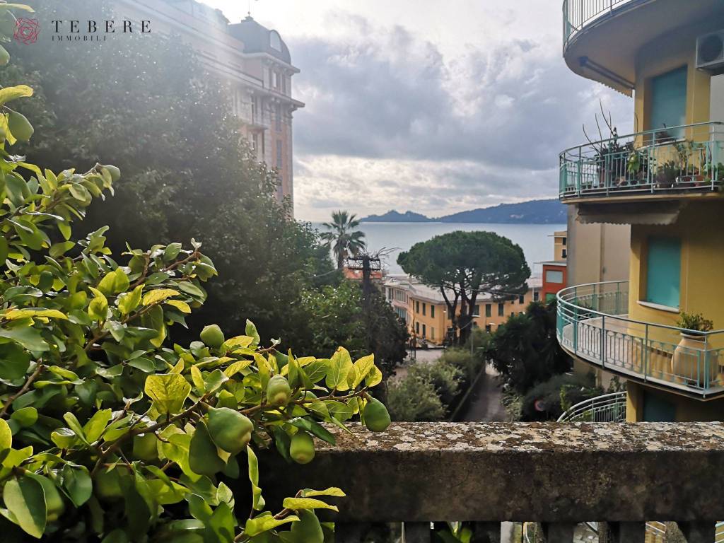 vista dal terrazzo