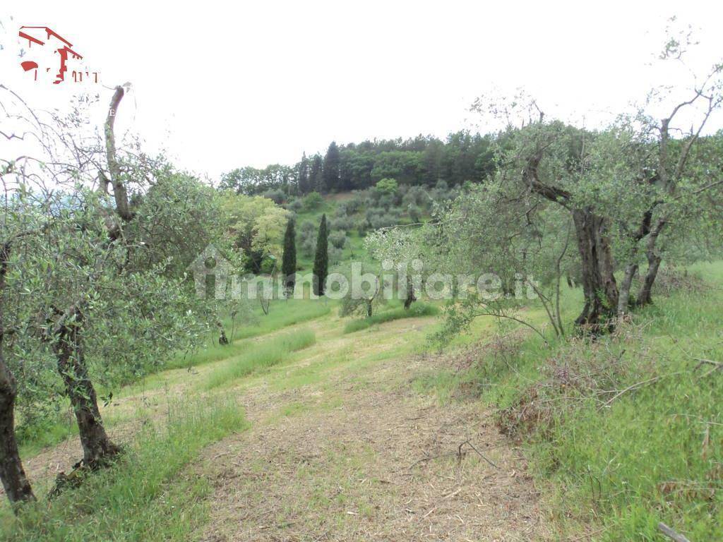 Molin del Piano vendita colonica con terreno