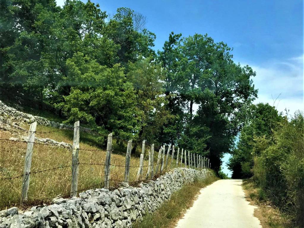 Terreno agricolo via dei cavalli, segni