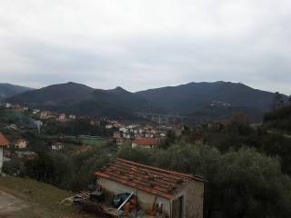 Vista
