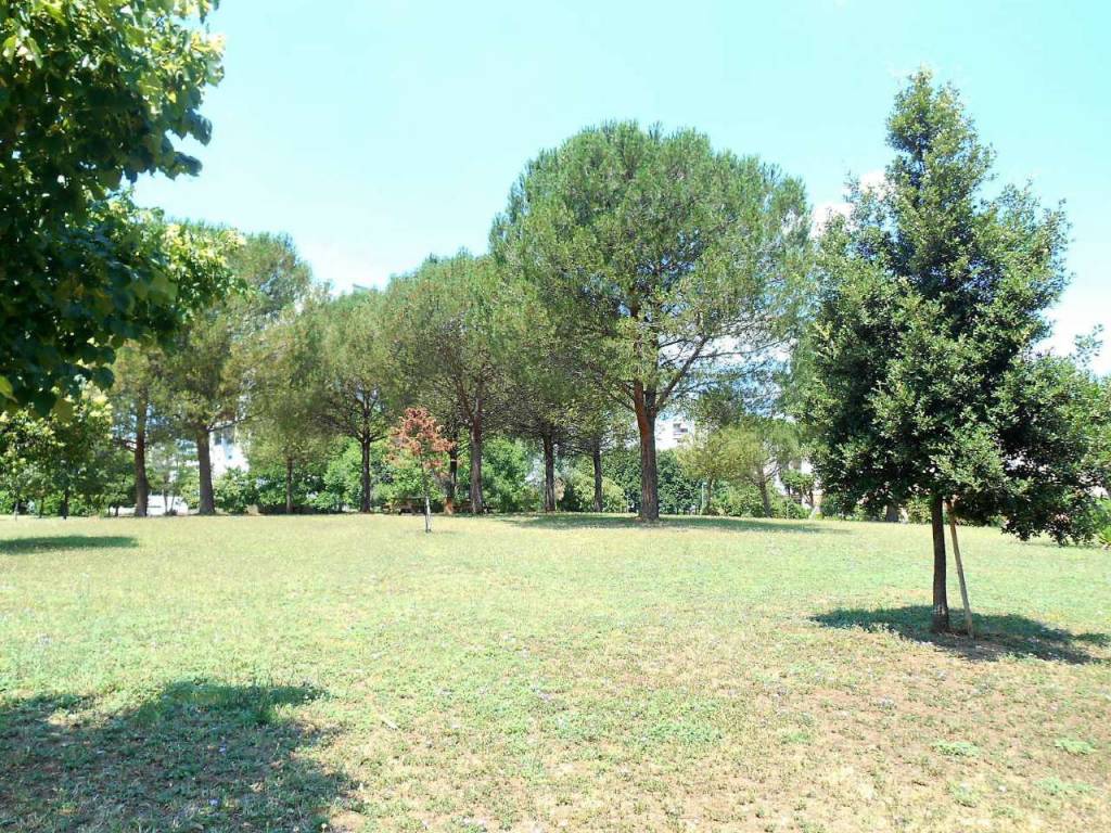 parco interno