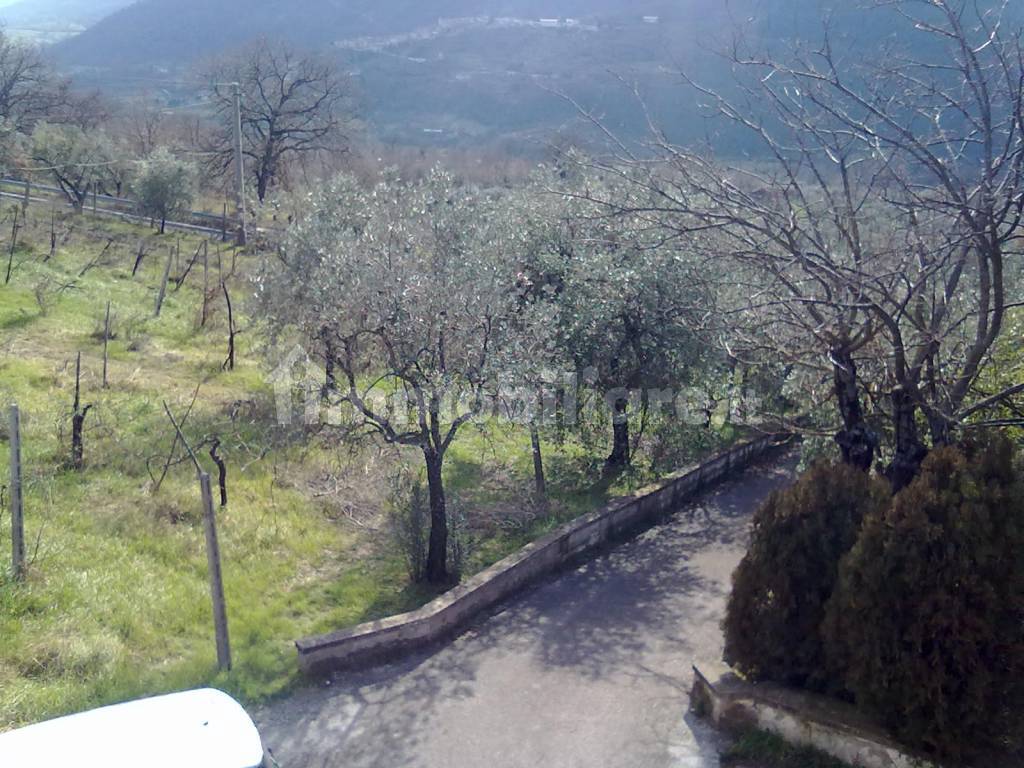 viale di ingesso