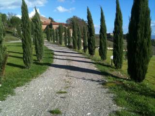 viale di ingresso