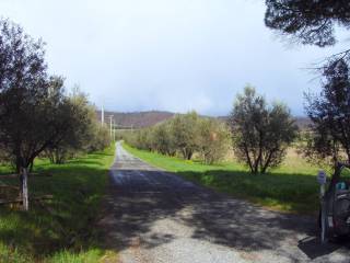 accesso