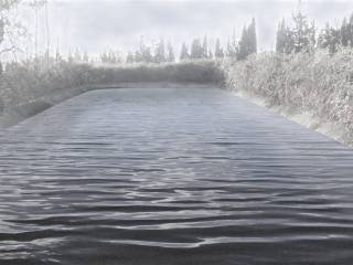 vasca